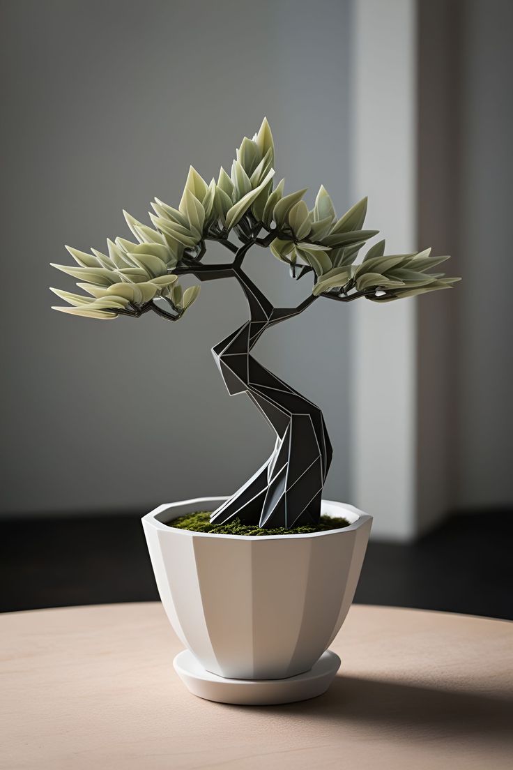 Bonsai geometrico moderno